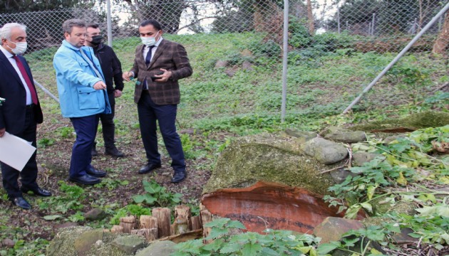 Giresun Adası’nda kazılar yeniden başlayacak